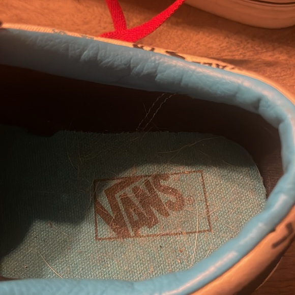 EUC vans - Picture 6 of 7